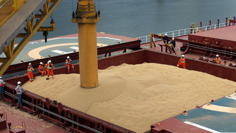 中国与巴西和美国的大豆贸易数据出现了500万吨的差异，引发了出口国统计当局的担忧